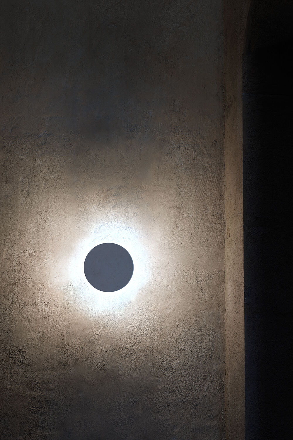 room_outdoor_camouflage