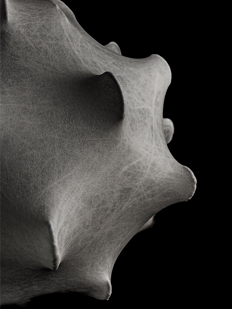 PLP_Cocoon_content_slot_04