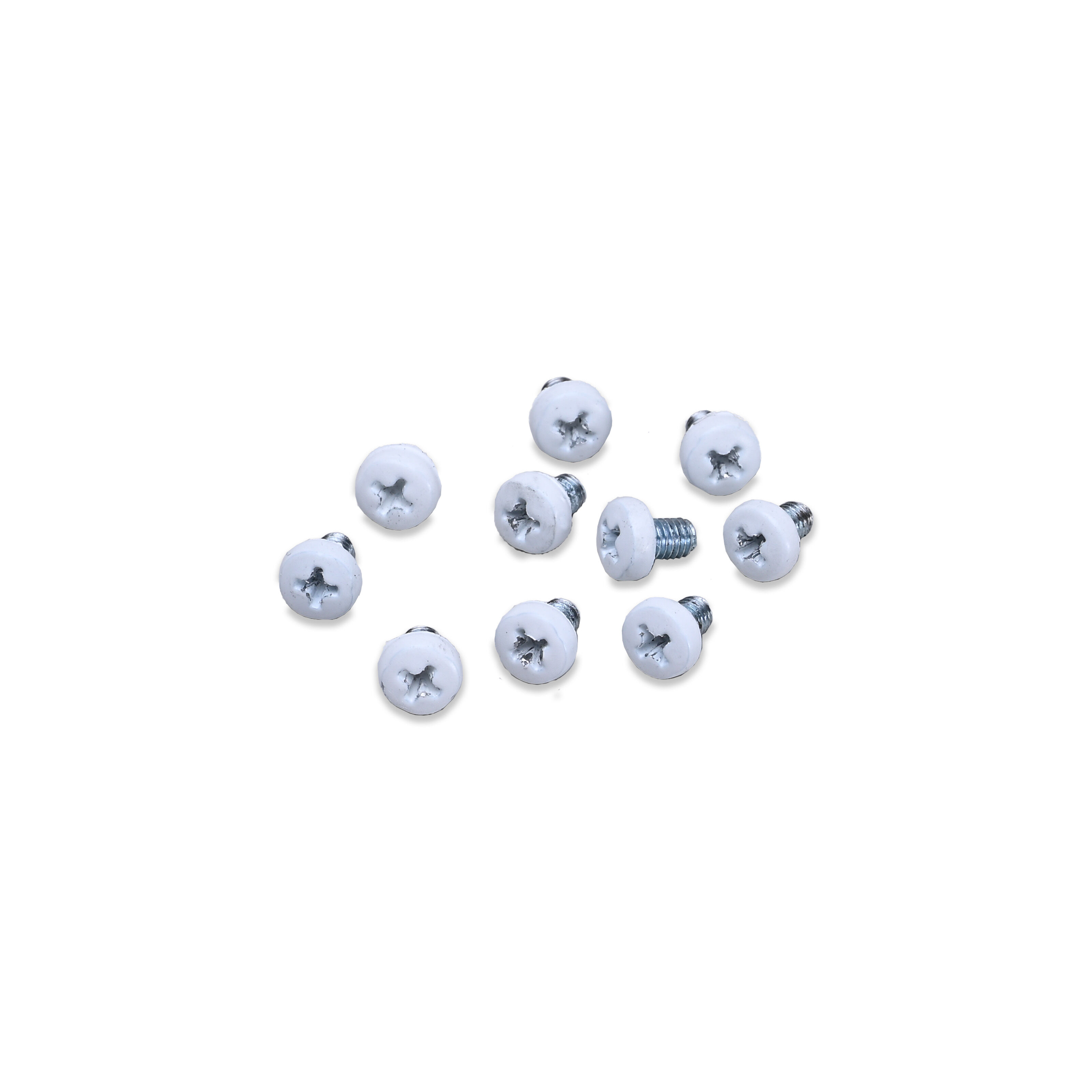 2097 White screw kit