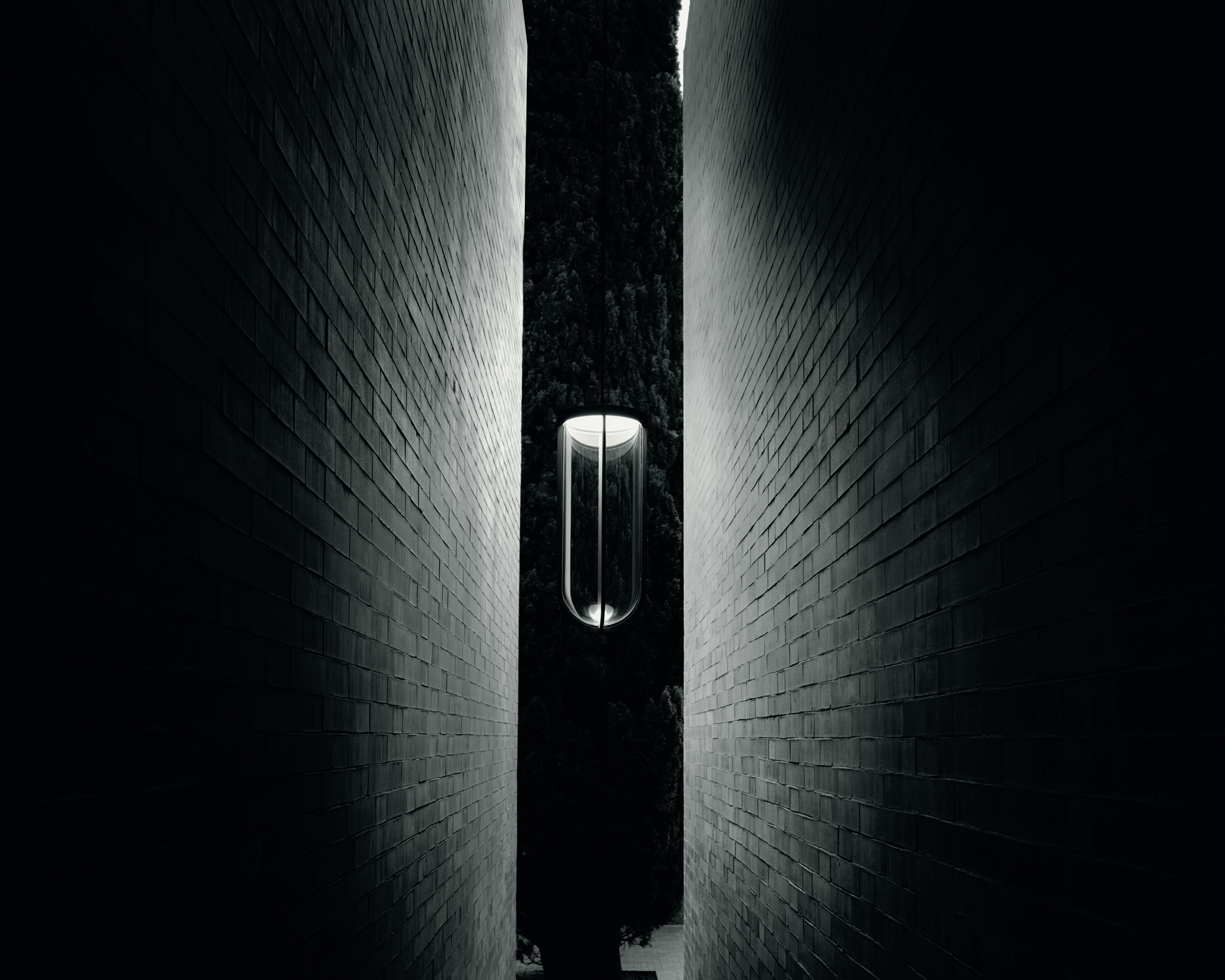 In Vitro Suspension, , lifeshot