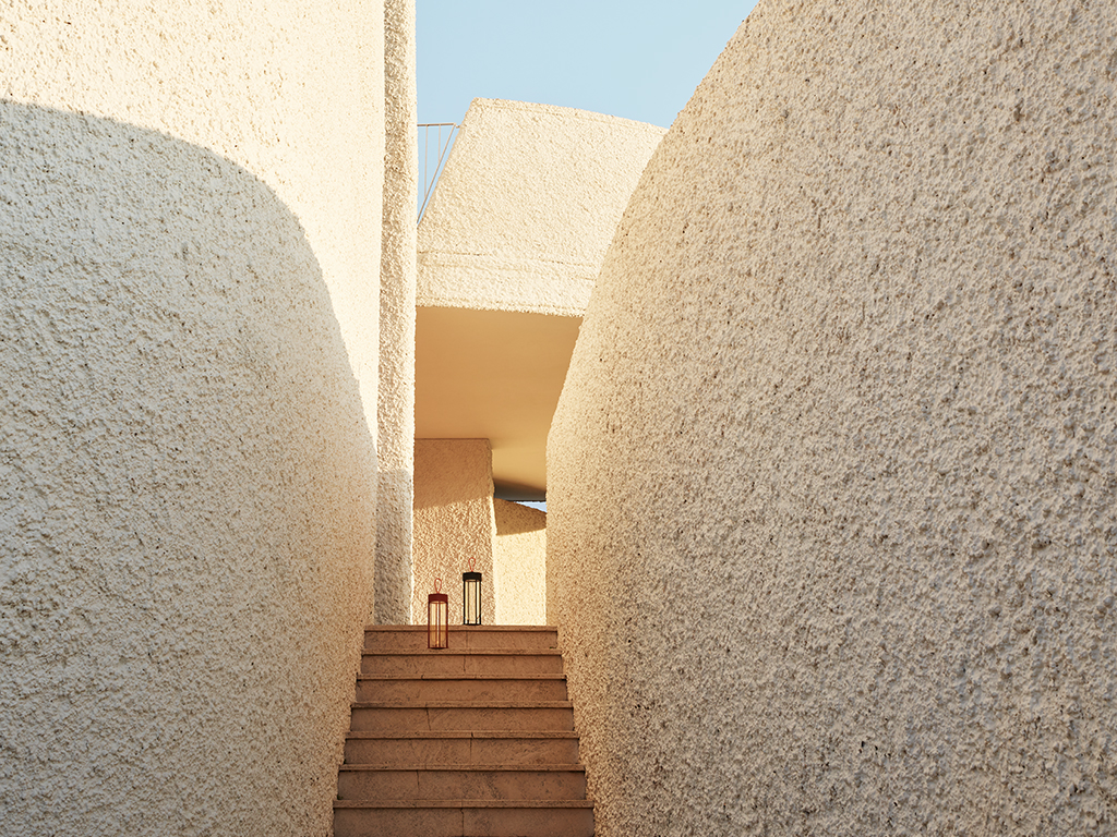 In Vitro Unplugged, , lifeshot