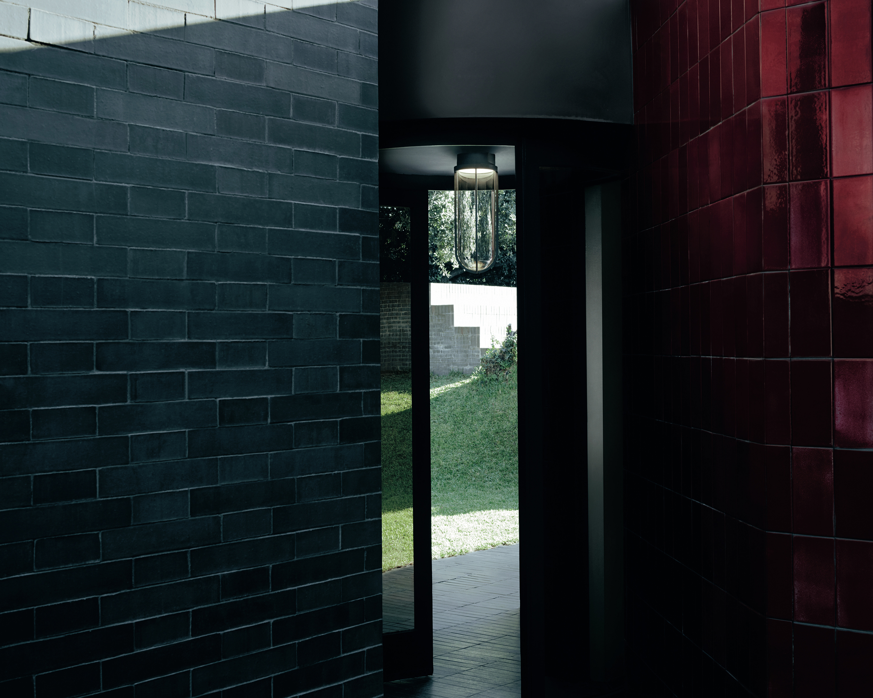 In Vitro Ceiling, , lifeshot