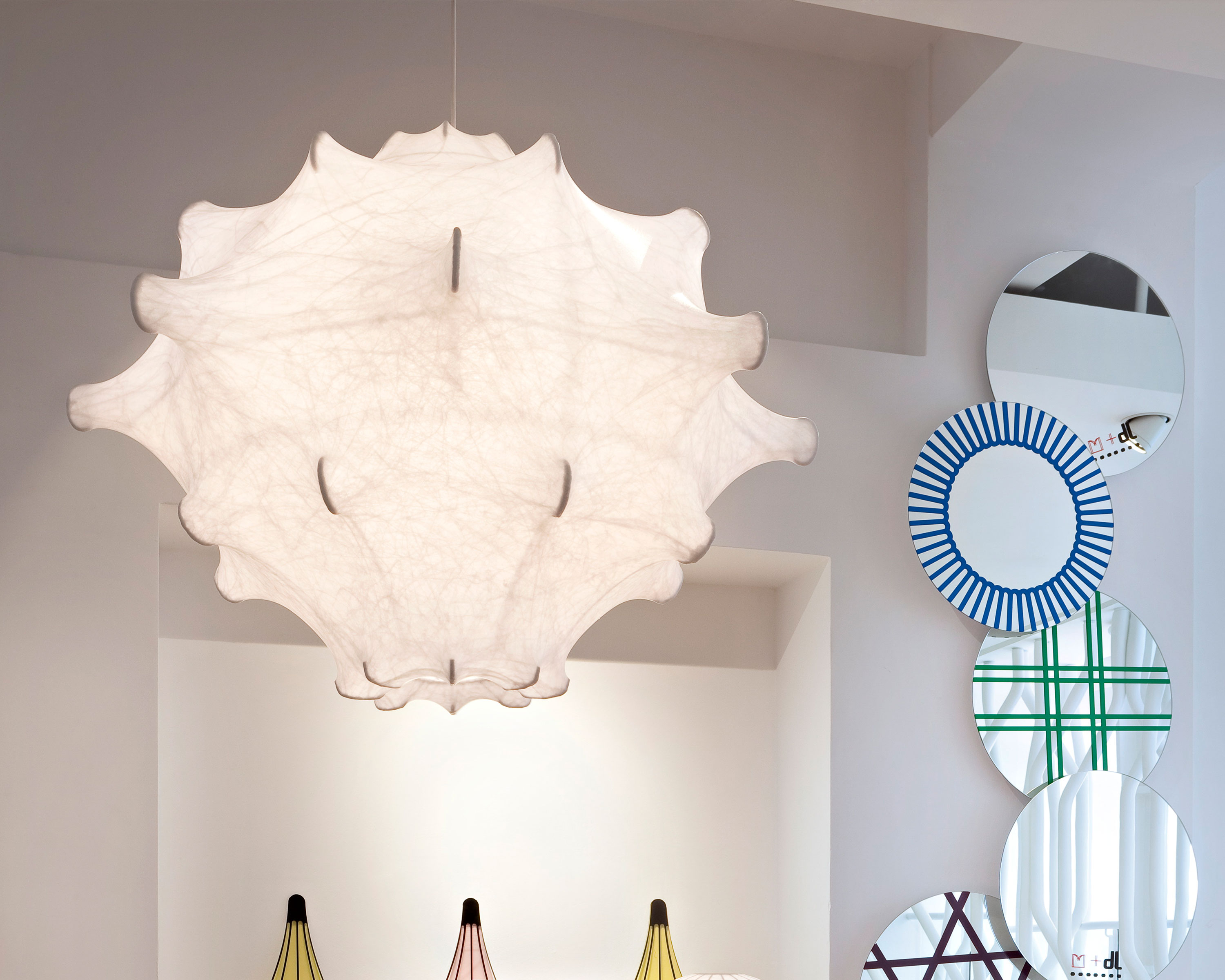 Taraxacum 2, , lifeshot