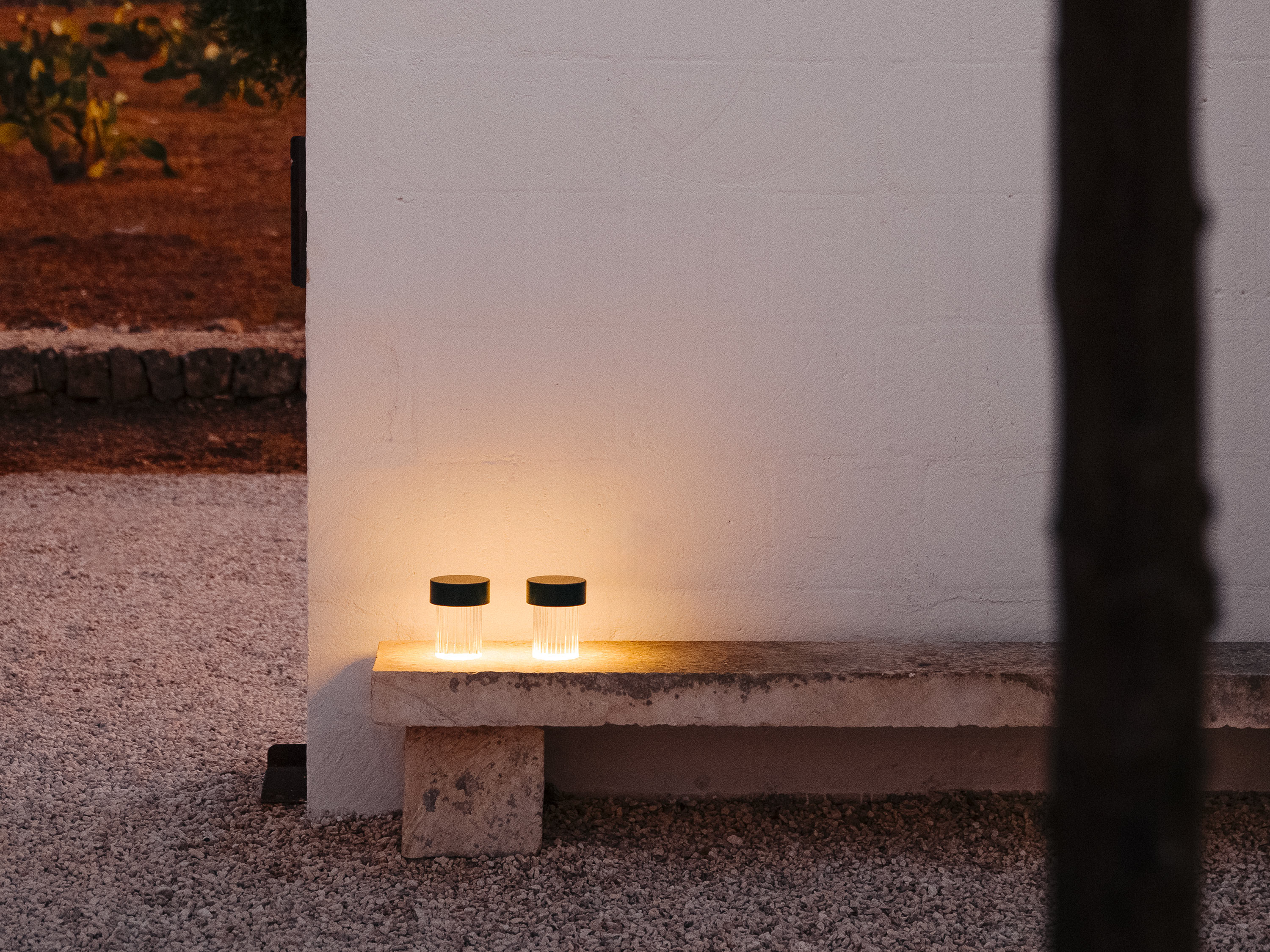 Last Order Fluted, , lifeshot