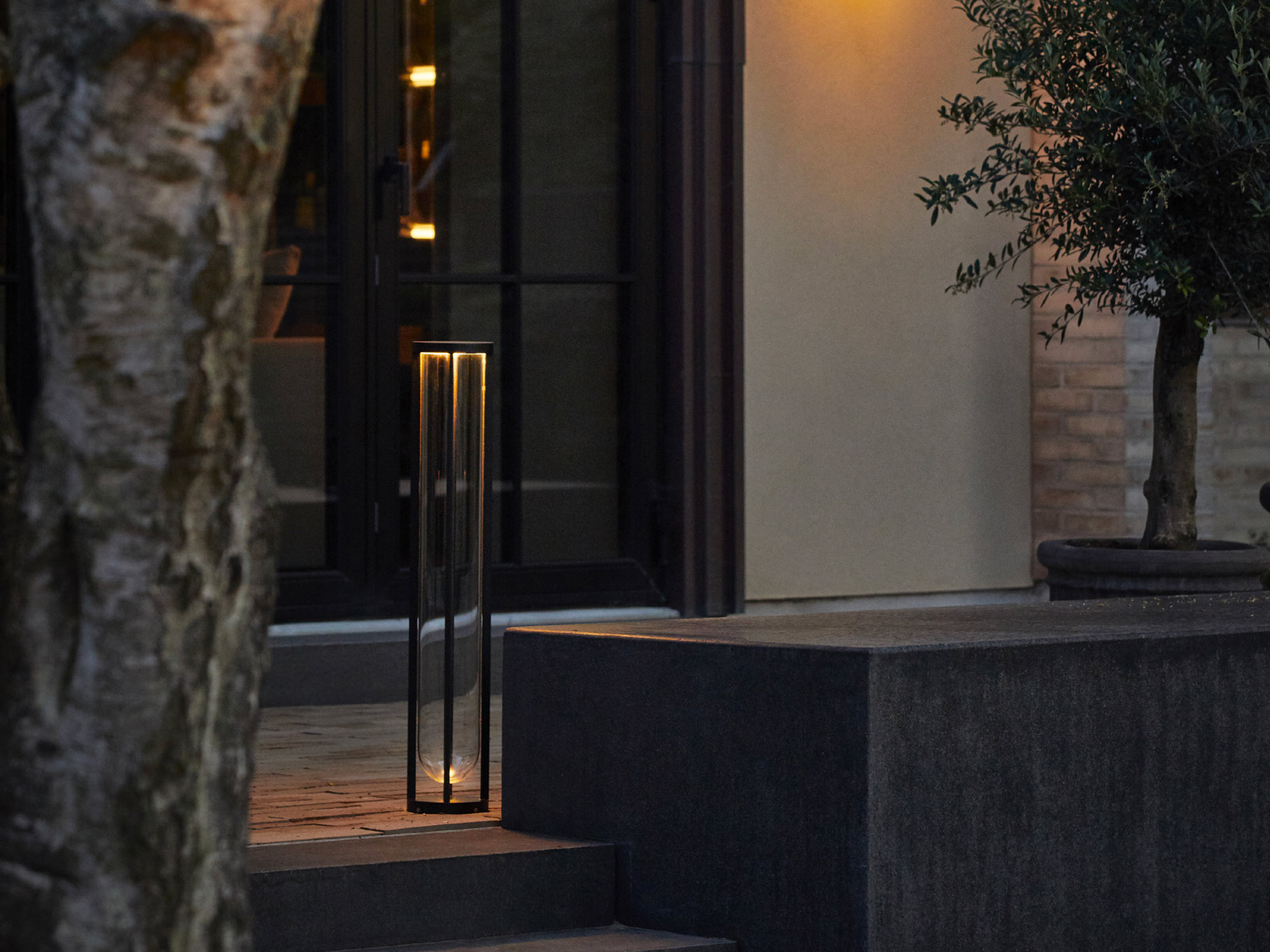 In Vitro Bollard, , lifeshot